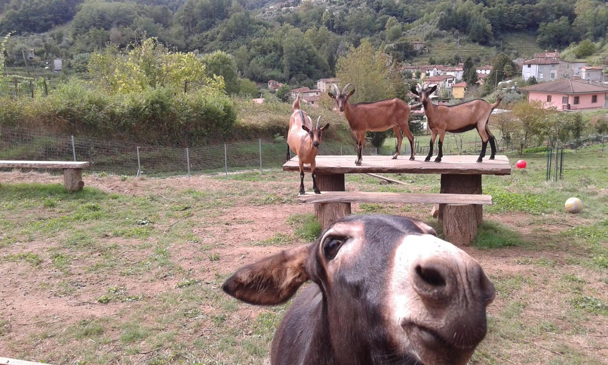La Finestra Sulla Valle Valdottavo Exterior foto